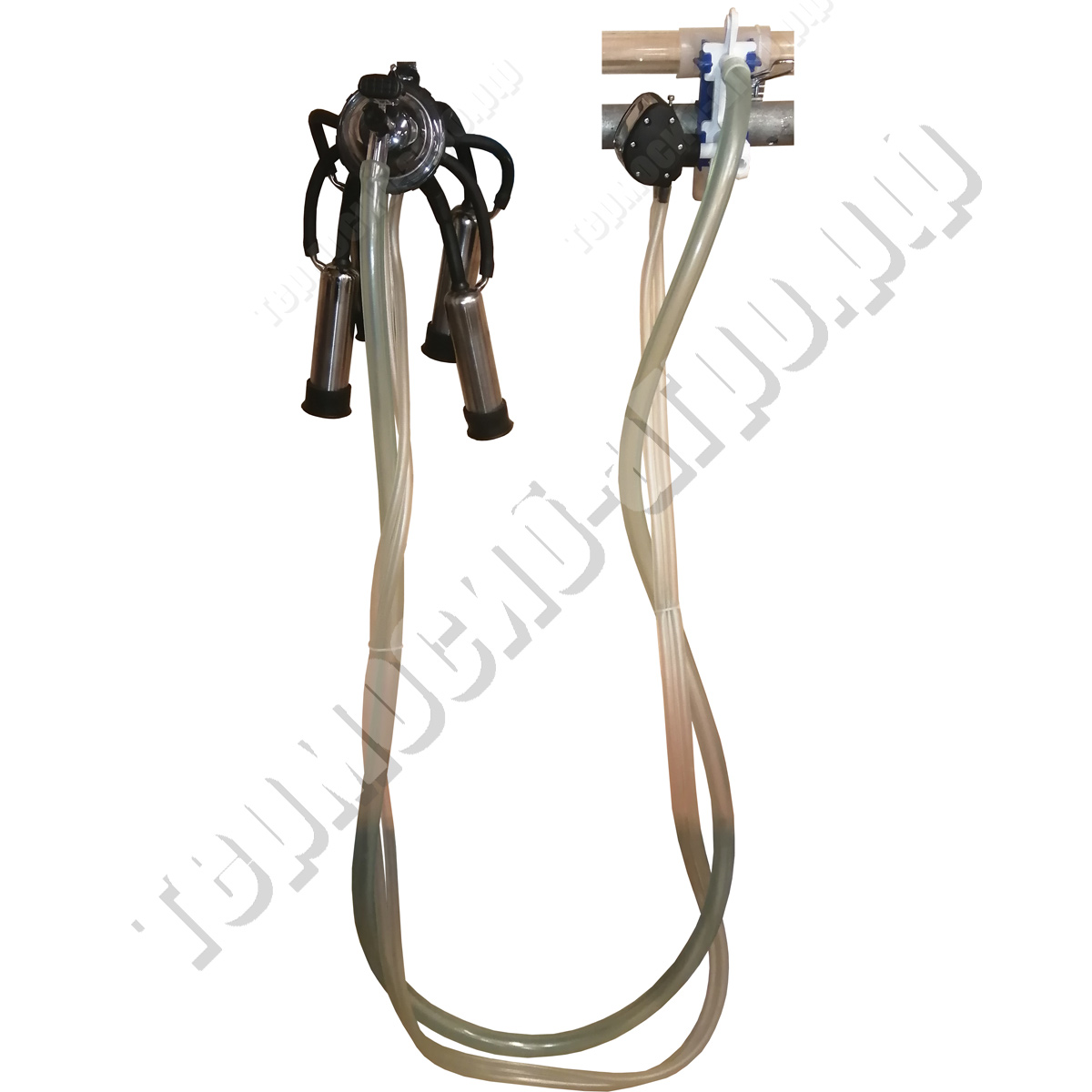 Доильный аппарат попарного доения (в молок) АДС25А